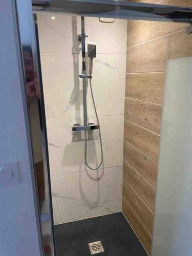 La salle de bains est pourvue d'une douche et d'un tuyau. dans l'établissement appartement 6/7 personnes, à Saint-Lary-Soulan