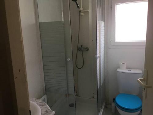 baño con ducha y aseo con asiento azul en Maison La chambrette, en Le Verdon-sur-Mer