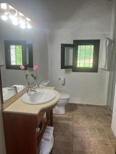 a bathroom with a sink and a toilet and windows at CAN MANYANA in Riudarenes