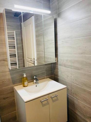 un baño con lavabo y espejo en Toulouse centre 4 couchages, en Toulouse