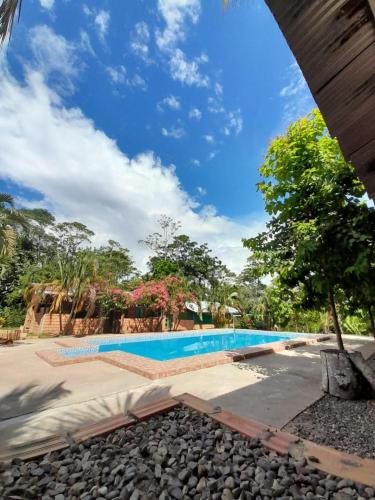 una imagen de una piscina en un complejo en CHOCLINO ECOLODGE -Bungalows en Tarapoto