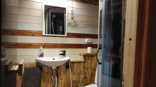 een badkamer met een wastafel en een spiegel bij Uneallika saunaga puhkemaja in Pae