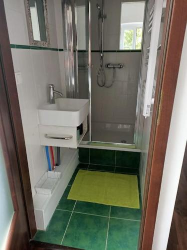 une petite salle de bain avec un lavabo et une douche dans l'établissement AU 2B 46 Ravissant duplex, à Cahors