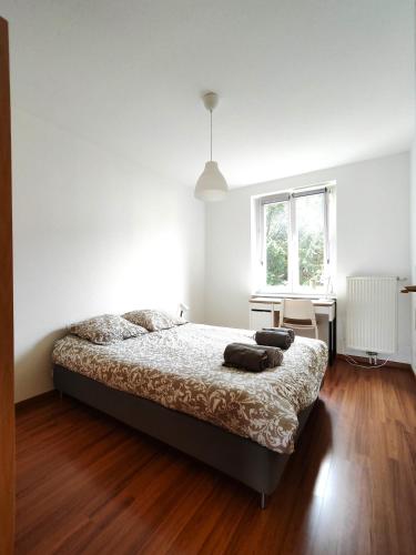 une chambre avec un lit, un bureau et une fenêtre dans l'établissement #Lesgourmandises, à Mulhouse