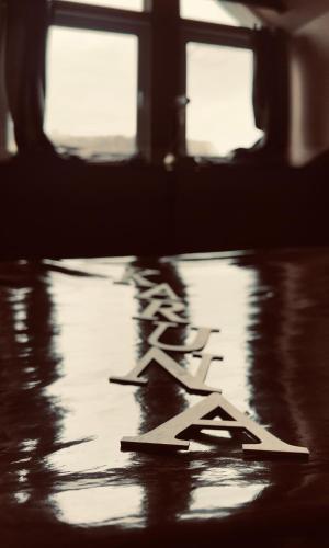 a reflection of a skateboard ramp on the floor at Agroturystyka Karuna - Ajurweda i Joga - w Końskim Dworze in Oborniki Śląskie