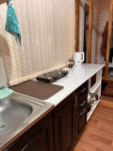 a kitchen counter with a stove and a sink at Дачный Домик на берегу озера Балхаш in Balqash