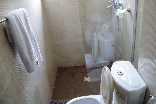 a bathroom with a white toilet and a shower at Residence Le Carat Bonapriso in Douala
