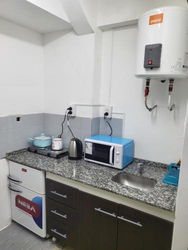 encimera de cocina con microondas y fregadero en SLC San Martín 1 en San Luis