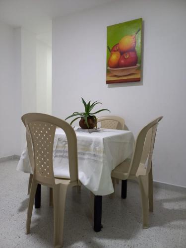 uma mesa com duas cadeiras e uma planta sobre ela em Hostal Don Ramón em Valledupar
