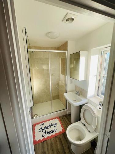 a bathroom with a toilet and a shower and a sink at Anox serviced Apartments 2 in Newcastle upon Tyne
