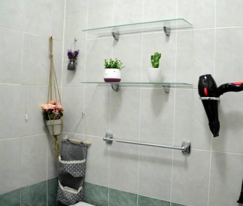 uma casa de banho com prateleiras e vasos de plantas numa parede em Sunny Flat in the Center of Tirana, 2 min. walk em Tirana