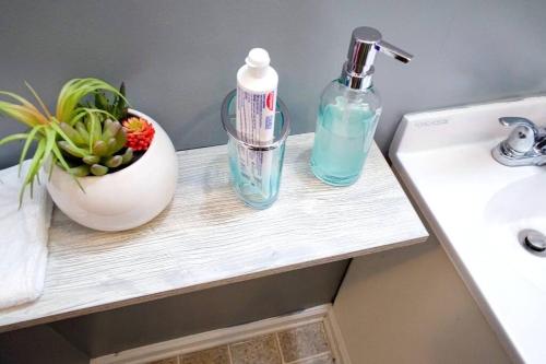 Φωτογραφία από το άλμπουμ του Entire Studio Apartment #2/Minutes to Downtown Indianapolis σε Ιντιανάπολις