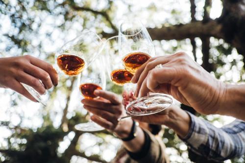 a group of people drinking wine from wine glasses at Casa do Santo - Wine & Tourism in Provesende