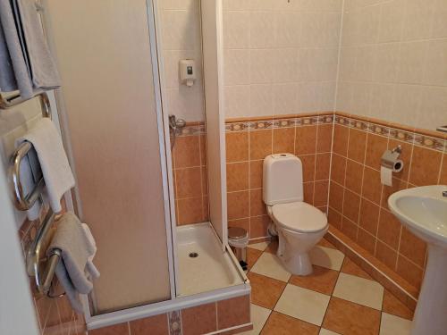 a bathroom with a shower and a toilet and a sink at Saules rati in Daugavpils
