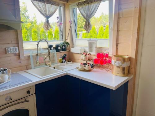 Kuchyň nebo kuchyňský kout v ubytování Woodhouse Resort