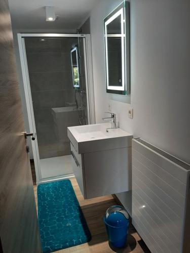ein Bad mit einem Waschbecken, einer Dusche und einem Spiegel in der Unterkunft Le sommet du Condroz in Ciney