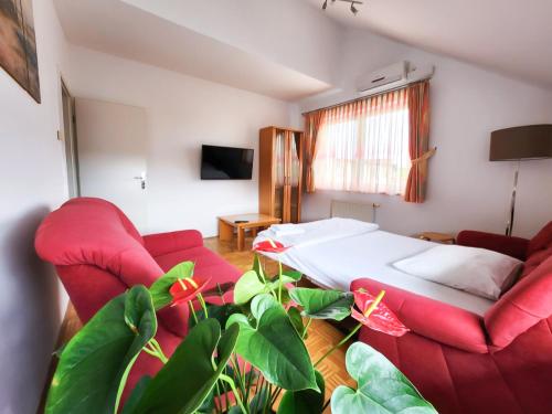 TV a/nebo společenská místnost v ubytování Guest House Mlada lipa