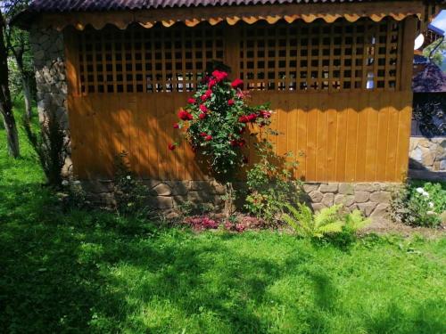 a bush with red roses in front of a fence at Садиба Криниченька in Yaremche