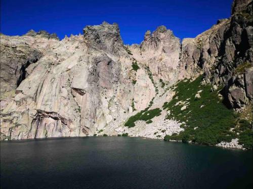 Naturlandskabet i nærheden af lejligheden