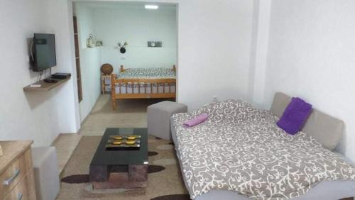 Voodi või voodid majutusasutuse Apartmani Damjan Vlasinsko jezero toas