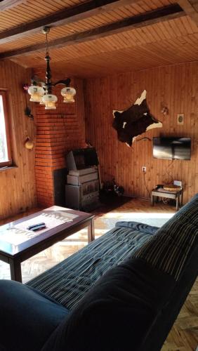 a living room with a couch and a stove at Apartmani Damjan Vlasinsko jezero in Surdulica