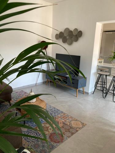a living room with a tv and a potted plant at CASA ANJOS in Amarante