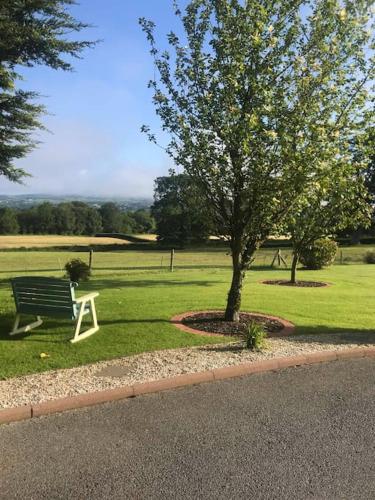 a park bench next to a tree in the grass at Meadow House in County Donegal in Donegal