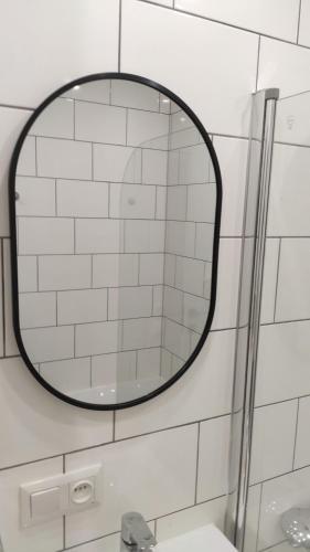 克列緬丘格的住宿－BotaNika，浴室墙上的镜子