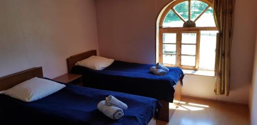 Φωτογραφία από το άλμπουμ του Hotel Tusheti σε Omalo