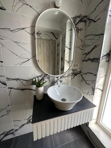 a bathroom with a sink and a mirror at Apartamente Ariniș in Gura Humorului