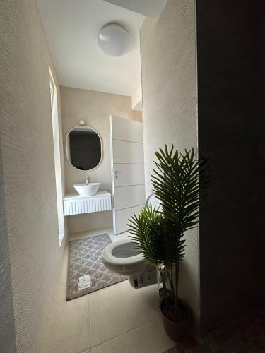 a bathroom with a toilet and a sink and a plant at Apartamente Ariniș in Gura Humorului
