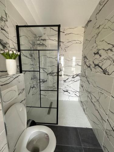a bathroom with a toilet and a walk in shower at Apartamente Ariniș in Gura Humorului