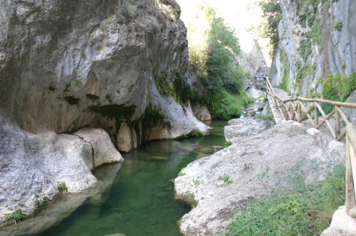 a river with green water and rocks and a bridge at Casa Rural Los Parrales in El Tranco