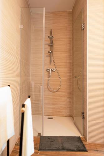 a shower with a glass door in a bathroom at Gold Apartment Ferrel II in Ferrel