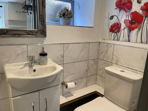 a bathroom with a sink and a toilet and a mirror at Lux Double Bed Studio by town & beach in Ryde