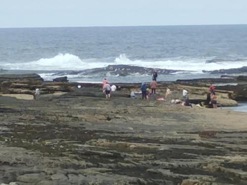 Příroda nedaleko prázdninového domu