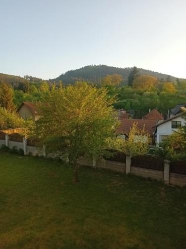 a tree in the yard of a house at MONADIN Villa Relax & Spa in Săcele
