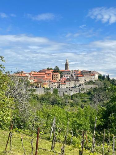 Holiday Home - Art Villa Presika - Labin Old Town