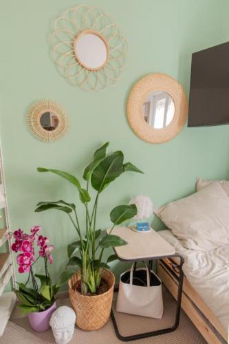Charming studio near the beach – Photos 5
