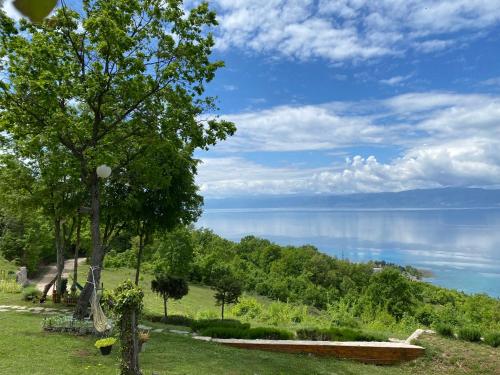 a view of the water from a park with a tree at Paradise Nest in Ohrid
