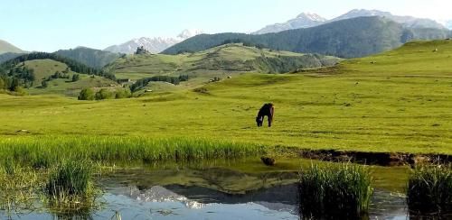 Φωτογραφία από το άλμπουμ του Hotel Tusheti σε Omalo