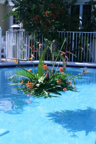 a plant in the middle of a swimming pool at The Caribbean Court Boutique Hotel in Vero Beach