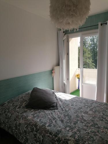 Appartement des Cygnes