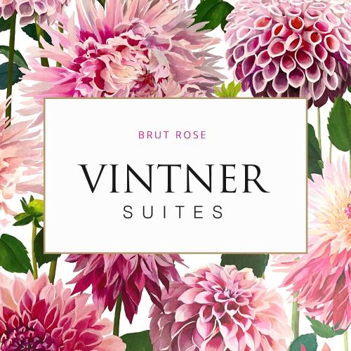 a bunch of pink flowers with a white frame at Vintner Suites in Neustadt an der Weinstraße