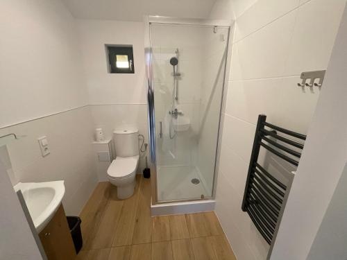 a bathroom with a shower and a toilet and a sink at RedDoor Zator Lake Houses in Zator