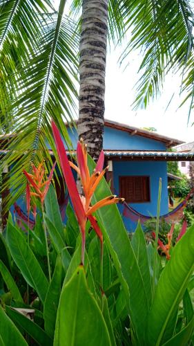 Pousada Vila Caju – Photos 2