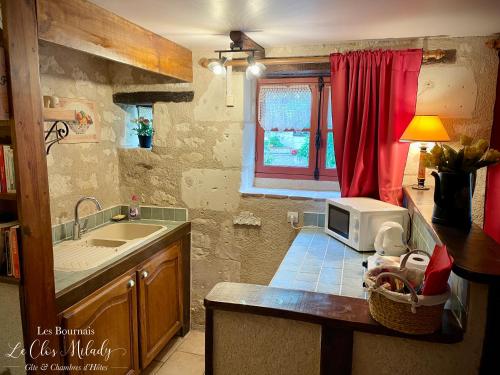 a kitchen with a sink and a microwave on a counter at Chambres d'Hôtes Les Bournais - Le Clos Milady in L'Ile-Bouchard