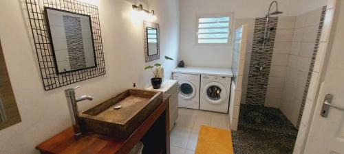ein Badezimmer mit einem Waschbecken und einer Waschmaschine in der Unterkunft villa le volubilis in Le Tampon