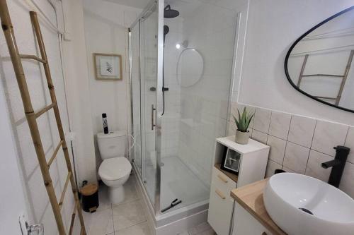 a bathroom with a shower and a toilet and a sink at appartement cosy in Boulogne-sur-Mer
