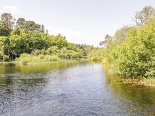 a body of water with trees and bushes at Glebe House in Ballinrobe
